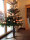 Tannenbaumständer Premium Edelstahl H:400mm Christbaumständer Weihnachtsbaumständer Weihnachtsbaum Halter Baumständer (1 Stück)