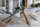Kreuzgestell Edelstahl V2A poliert GX 100x40 L1620 Spider Esstisch Tischgestell Wohnzimmer Tisch K&uuml;chentisch Tischuntergestell X-Gestell