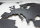 Hochwertige Design Stahl Weltkarte Wanddeko Wandbild XXL 3D Metall Pinnwand magnetisch Travelmap Reiseziele Firmenstandorte Landkarte Schwarz 200x100cm