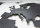 Hochwertige Design Stahl Weltkarte Wanddeko Wandbild XXL 3D Metall Pinnwand magnetisch Travelmap Reiseziele Firmenstandorte Landkarte Anthrazit RAL7016