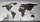 Hochwertige Design Stahl Weltkarte Wanddeko Wandbild XXL 3D Metall Pinnwand magnetisch Travelmap Reiseziele Firmenstandorte Landkarte Weiß