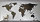 Hochwertige Design Stahl Weltkarte Wanddeko Wandbild XXL 3D Metall Pinnwand magnetisch Travelmap Reiseziele Firmenstandorte Landkarte Schwarz Glitzereffekt Feinstruktur 250x125cm
